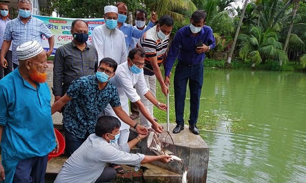 মোল্লাহাটে মাছের পোনা অবমুক্ত