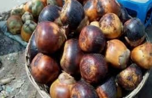 ডুমুরিয়ায় তালের সুবাসে মৌ মৌ করছে বাজার