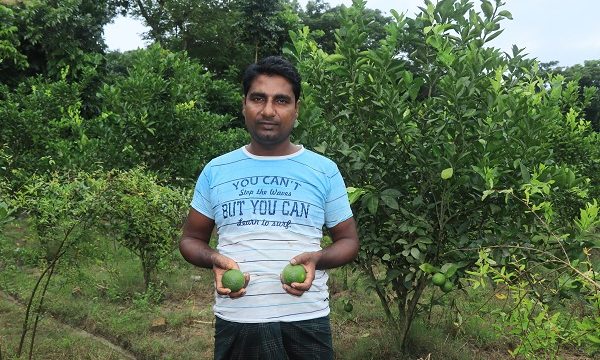 ইউটিউব দেখে মাল্টা চাষে সফল আব্দুল আলীম