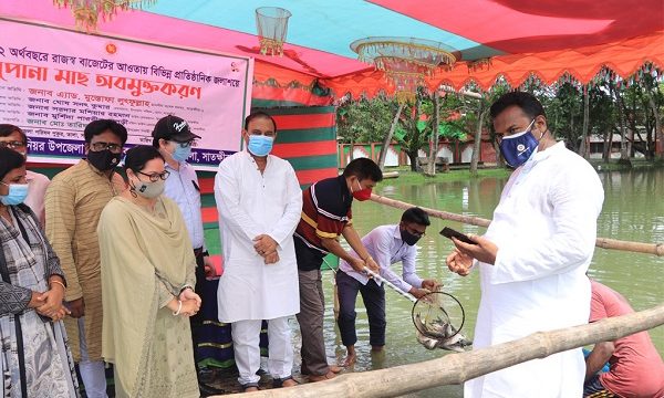 তালায় ১৮টি পুকুরে মাছের পোনা অবমুক্ত