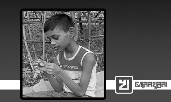 সাংবাদিক পুত্রের মৃত্যুতে প্রেসক্লাব মোল্লাহাটের শোক