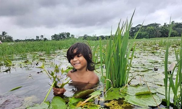 ডুমুরিয়ায় জাতীয় ফুল শাপলা স্মৃতির আসনে জায়গা নিয়েছে
