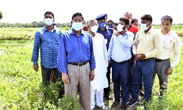দক্ষিণাঞ্চলের লবণাক্ত এলাকায় কৃষিবিপ্লব ঘটব : কৃষিমন্ত্রী