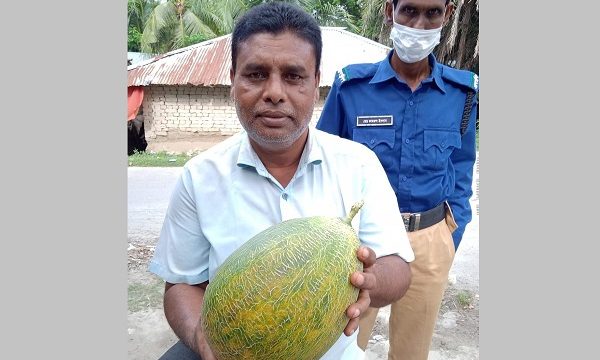 ডুমুরিয়ায় সুইট করিম ফল দেখার জন্য মানুষ ভিড় জমাচ্ছেন