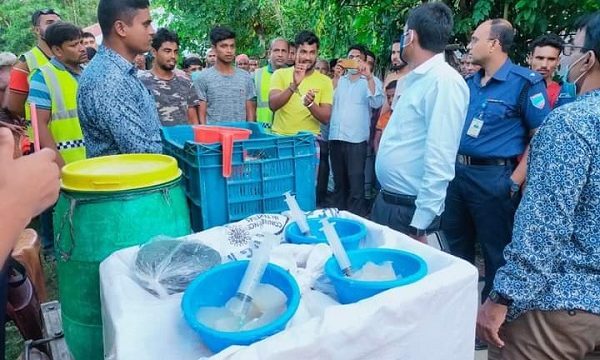 মোল্লাহাটে চিংড়িতে অপদ্রব্য পুশ করায় আটক ৩, মোবাইল কোর্টে অর্থদন্ড