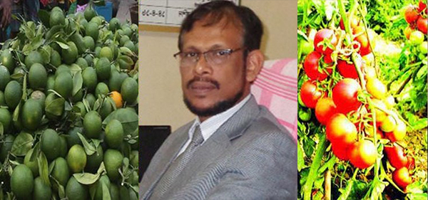 বারি মাল্টা-১ ও গ্রীষ্মকালীন টমেটো চাষে সরেজমিন গবেষণা বিভাগ খুলনা কেন্দ্রের সাফল্য
