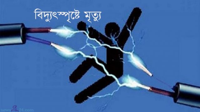 মোল্লাহাটে বিদ্যুৎস্পৃষ্ট হয়ে মিস্ত্রীর মৃত্যু