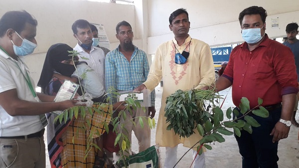 মোল্লাহাটে ক্রেইন প্রকল্পের কৃষি উপকরণ বিতরণ উদ্বোধন