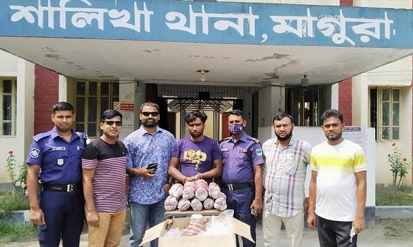 মাগুরার শালিখায় ১০ কেজি গাজাসহ মাদক ব্যবসায়ী আটক