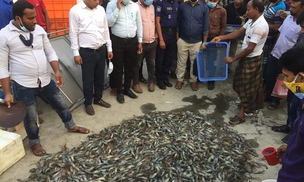 ডুমুরিয়ায় চিংড়িতে অপদ্রব্য পুশ, ৬ জনের জেল-জরিমানা