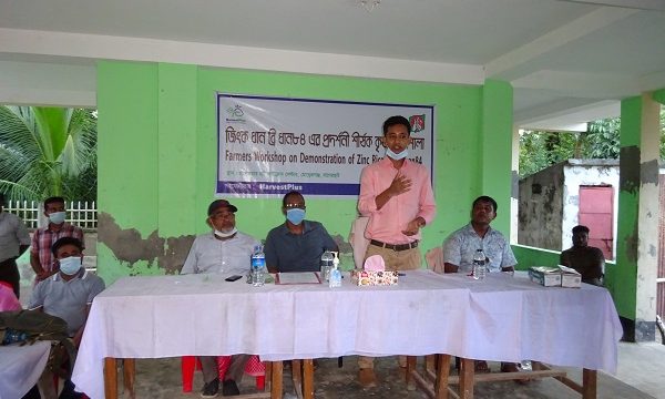 মোরেলগঞ্জে জিংধান ব্রি-৮৪’র প্রদর্শনী শীর্ষক কর্মশালা অনুষ্ঠিত