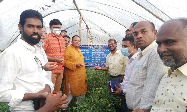 কয়রায় গ্রীষ্মকালীন টমেটোর মাঠ দিবসে এমপি বাবু