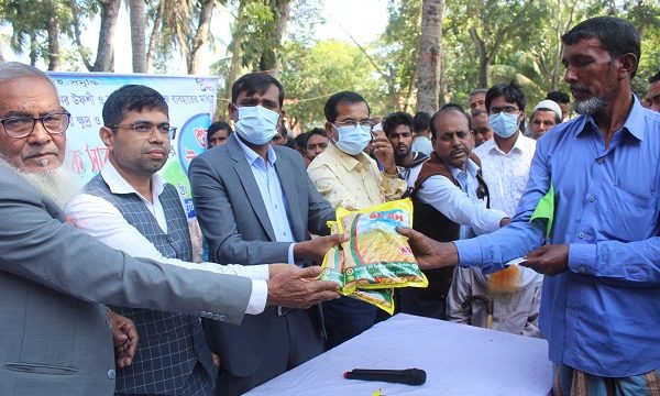 মোল্লাহাটে বীনামূল্যে বীজ ও স্যার বিতরণ