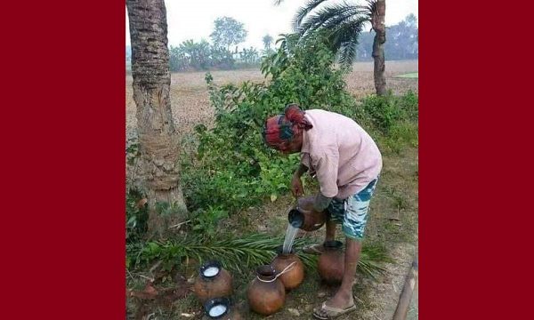 ডুমুরিয়ায় খেজুর রস সংগ্রহের প্রস্তুতি গাছিদের