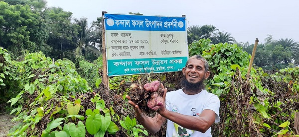 ডুমুরিয়ায় বাণিজ্যিকভাবে মেটে আলুর চাষে লাভবান কৃষকরা