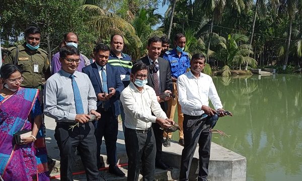 মোল্লাহাটে অতিথি পাখি উদ্ধার ও অবমুক্ত