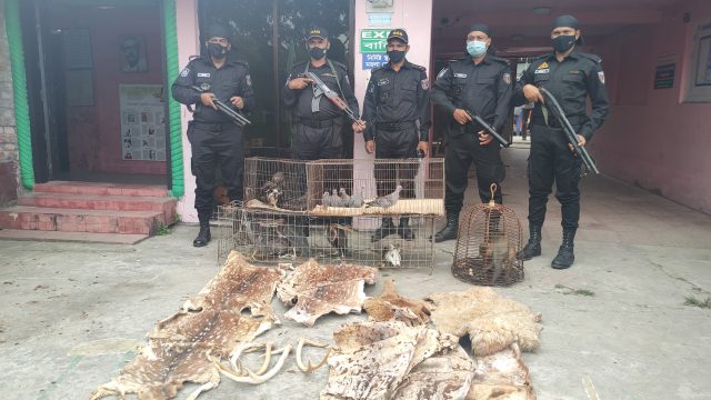 বাগেরহাটে ইকোপার্ক থেকে ৪৩ বন্য প্রাণি উদ্ধার, ব্যবস্থাপককে জরিমানা