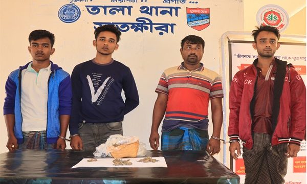 তালায় গাজাসহ আটক ৪