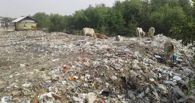 অবৈধ দখল দূষণে মৃত প্রায় শিবসা ও কপোতাক্ষ