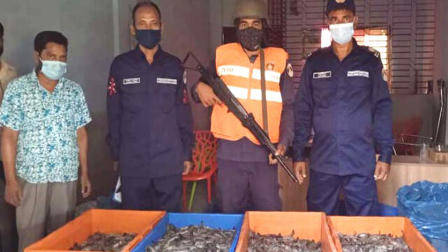 জেলি পুশকৃত ১০০ মন চিংড়িসহ আটক ৭