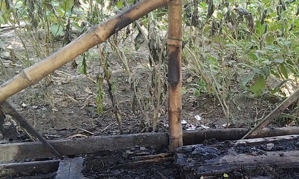 মোল্লাহাটে গোয়ালঘর পোড়ানোর অভিযোগ!