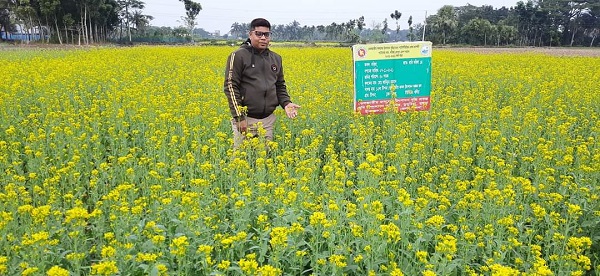 ভোজ্য তেলের মূল্য বৃদ্ধি ও নিজ প্রয়োজনে সরিষা চাষে ঝুঁকছেন ডুমুরিয়ার চাষিরা