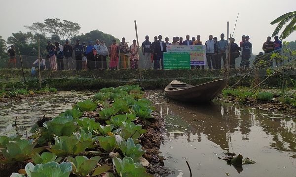 ডুমুরিয়ার কৃষকরা তের খাদার ভূতিয়ার বিলে পানির ওপরে কৃষকদের মৌসুমী সবজি চাষ পরিদর্শন