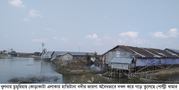 ডুমুরিয়ায় হাতিটানা নদী দখল করে পোল্ট্রী খামার!