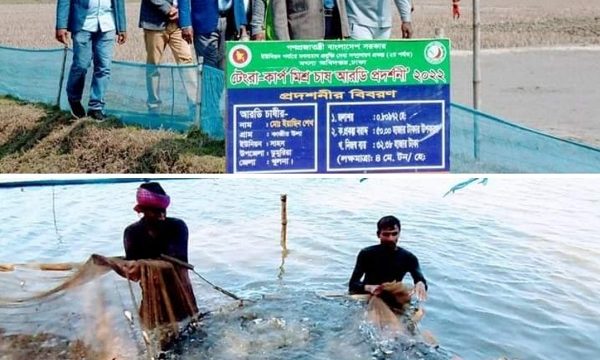ডুমুরিয়ার মৎস্য চাষীরা মাছ চাষ করে ব্যাপক সাফল্য
