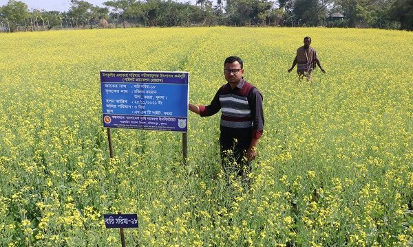 সরিষার হলুদ ফুলে সেজেছে কয়রা উপজেলার মাঠ