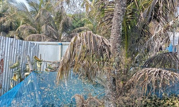 ডুমুরিয়ায় বরফ কলের আ্যমোনিয়া গ্যাস পাইপ বিস্ফোরিত, শিক্ষা প্রতিষ্ঠান বন্ধ