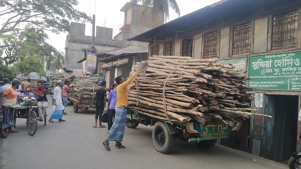 মোরেলগঞ্জে সুন্দরবনের কর্তন নিষিদ্ধ বিপুল পরিমান কাঠ আটক