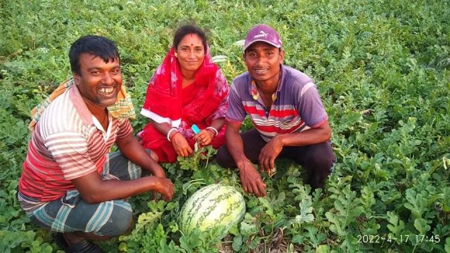ডুমুরিয়ার শ্রেষ্ঠ তরমুজ চাষী প্রতাপ চন্দ্র মন্ডল