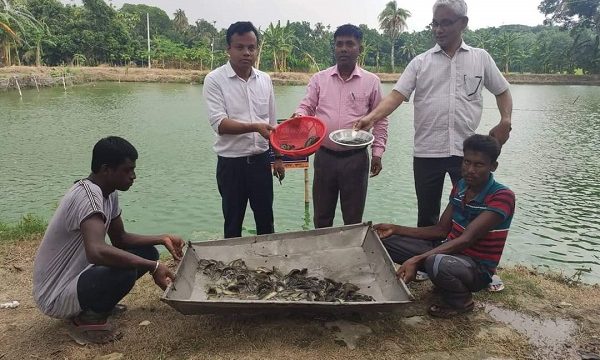 ডুমুরিয়ায় দেশীয় মিশ্রচাষ প্রদর্শনী পরিদর্শন