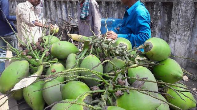 জীবননগরে ভ্যাঁপসা গরমের তৃষ্ণা মেটাতে তালের শাঁস ও ডাব বিক্রির হিড়িক