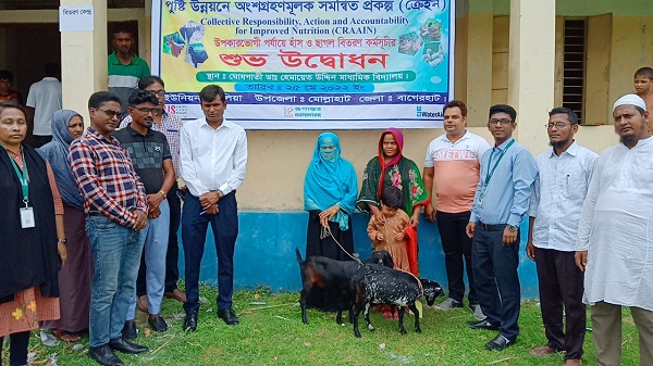 মোল্লাহাটে দরিদ্র পরিবারের মাঝে গবাদি পশু বিতরণ কার্যক্রম উদ্বোধন