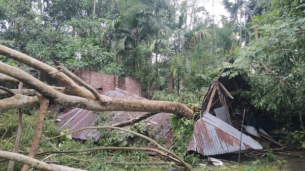 মোরেলগঞ্জে আকস্মিক ঘূর্ণিঝড়ে অর্ধশত বসতবাড়িসহ গাছপালার ব্যাপক ক্ষতি