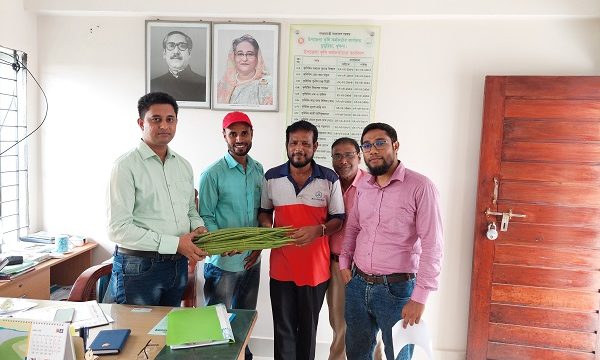 ডুমুরিয়ায় নবদ্বীপের বারোমাসি শজনের জাত বছর জুড়েই ফলন