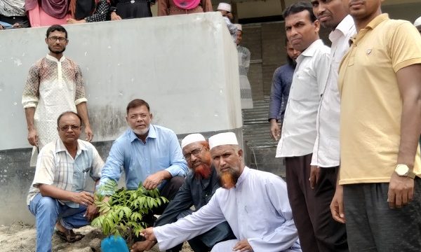 নলিয়ান আলিম মাদ্রাসায় গ্লোবাল খুলনার উদ্যোগে বৃক্ষরোপণ ও মতবিনিময় সভা