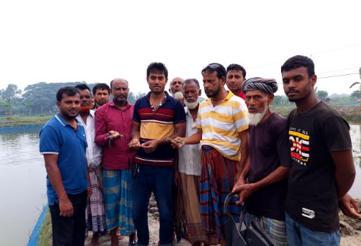 ডুমুরিয়ায় টিপনা নতুন রাস্তা চিংড়ী চাষী ক্লাষ্টারের চিংড়ি মাছ ও ঘের পরিদর্শন