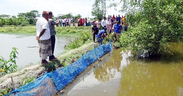 খালে বাঁধ দিয়ে ঘের ব্যবসা, মোরেলগঞ্জে দুটি স্থানে বাঁধ কেটে দিলেন এসিল্যান্ড