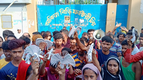 মোল্লাহাটে আকিজ বিড়ির ম্যানেজারের বিরুদ্ধে রাজস্ব চুরির অভিযোগে বিক্ষোভ