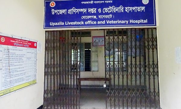 মোরেলগঞ্জে ভ্যাকসিন সংকটে প্রাণিসম্পদ অফিস