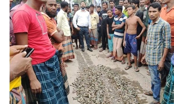 ডুমুরিয়ায় মৎস্য অধিদপ্তরের মোবাইল কোর্ট, ১জনের জেল ও ৪জনকে জরিমানা