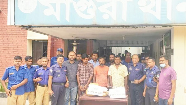 মাগুরায় ৮ কেজি ৮০০ গ্রাম গাঁজাসহ ৩ মাদক ব্যবসায়ী গ্রেফতার