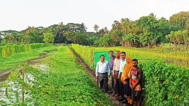 খুলনায় মৃত্তিকা সম্পদ উন্নয়ন ইনস্টিটিউট’র মহাপরিচালকের জিকেএসপির প্রকল্প পরিদর্শন