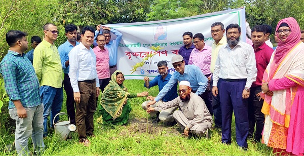 প্রধানমন্ত্রী শেখ হাসিনার ৭৬তম জন্মদিনে খুবিতে বৃক্ষরোপণ কর্মসূচি পালিত