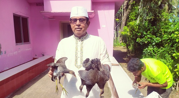 চিতলমারীতে নতুন জীবন পেল ১২ পরিযায়ী পাখি