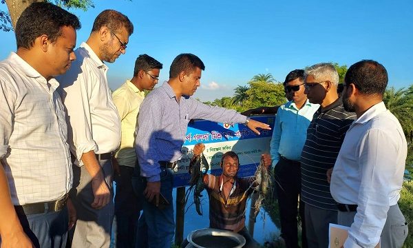 ডুমুরিয়ায় প্রান্তিক মৎস্য চাষিদের ভাগ্য উন্নয়নে কাজ করছে এনএটিপি-২ প্রকল্প