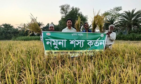 ডুমুরিয়ায় ধান কাটার ধুম